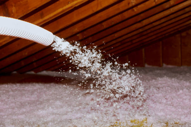 Best Geographic-Specific Insulation Services in Cross City, FL