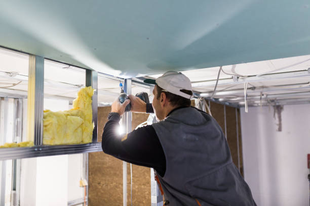 Best Spray Foam Insulation in Cross City, FL