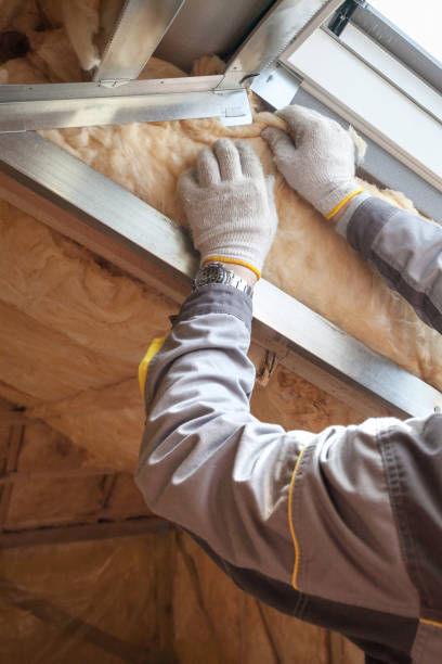 Types of Insulation We Offer in Cross City, FL