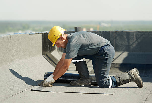 Professional Insulation Contractor in Cross City, FL