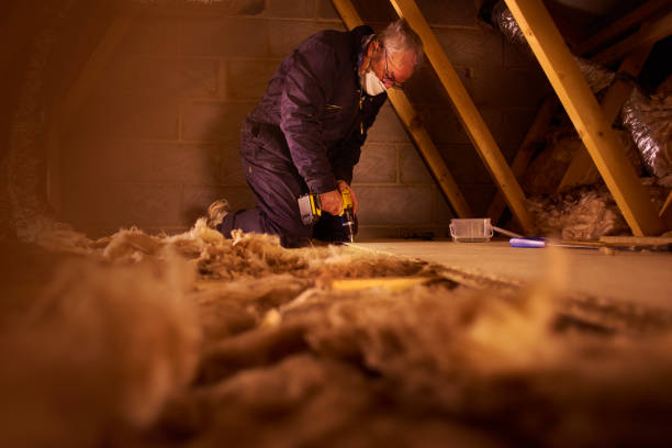 Best Eco-Friendly Insulation in Cross City, FL